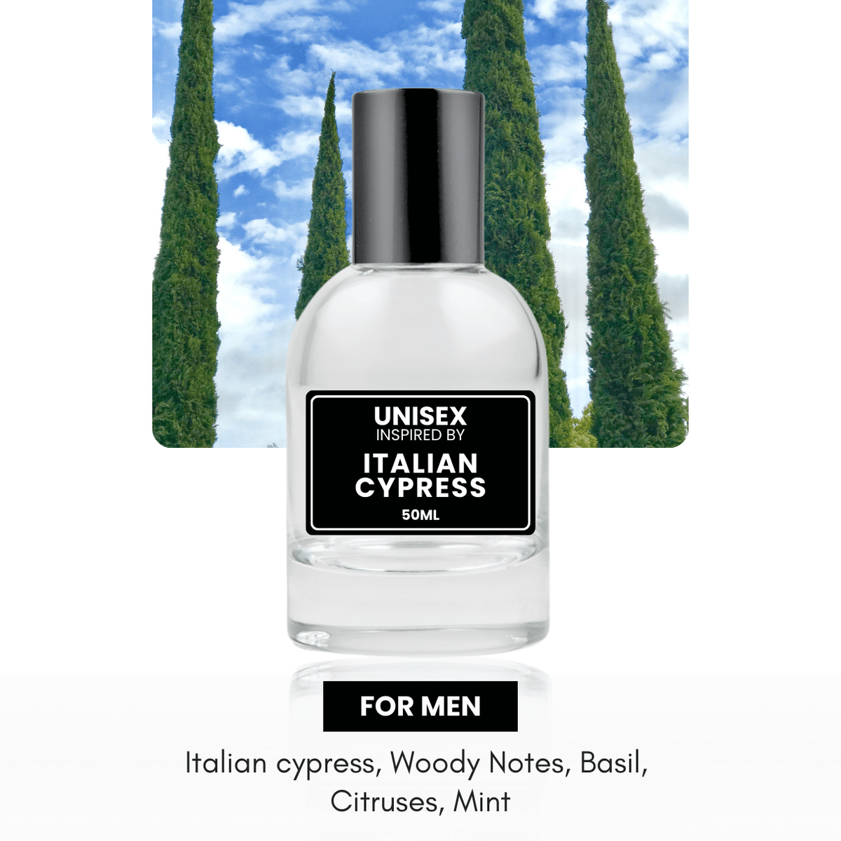 Italian Cypress