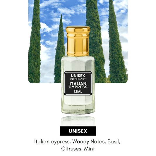 Italian Cypress